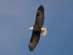 IMG_0956.jpg