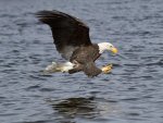 IMG_1484.jpg