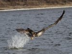 IMG_1429.jpg