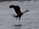 IMG_1593.jpg