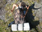 IMG_1220res.jpg