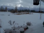 Christmas 2015 -deck & pond 002.jpg