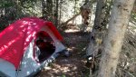 IMG_20150922_143627586.jpg