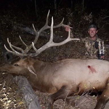 tobacco root mountains elk hunting Western Elk Hunting Forecast -