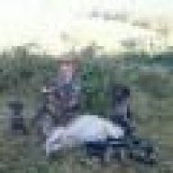Aussie_hunter_jd