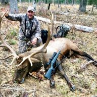 Henson_Taxidermy