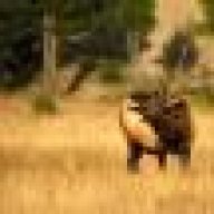HuntingTheWest