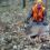 droptine
