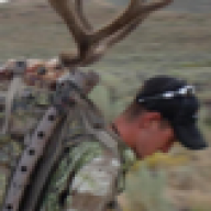 Muleycrazy