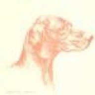 Barkeater