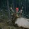 buckbull