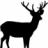 Bowhunter_60