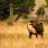 HuntingTheWest