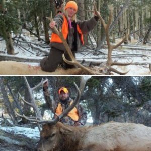 2011 elk hunting