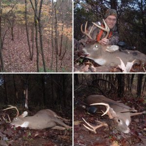 2005 Pennsylvania Longbow Buck