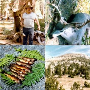 High Sierra Deer Hunting