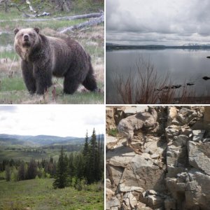 WY Pics May Trip