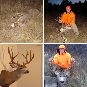 Hunting pics