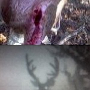 photo's