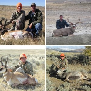 Wyoming Deer and Antelope