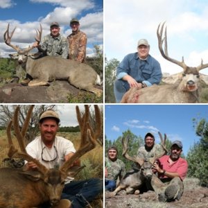 Big Chino Guide Service