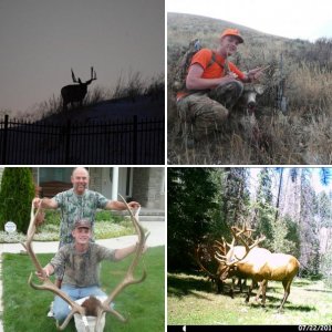 hunting pics