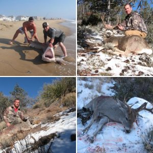 Hunting Pics