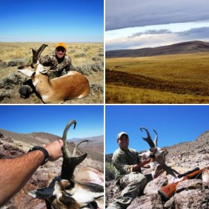 Antelope Anyone?