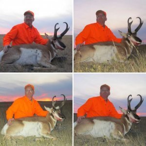2011 Wyoming Antelope