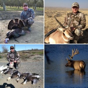 Recent Hunts