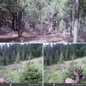 Game camera