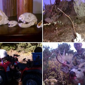 Hunting pics