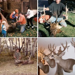 My Hunts