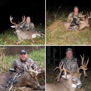 Bucks