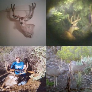 hunting pictures...