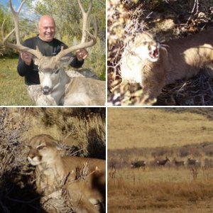 Hunting In Nevada