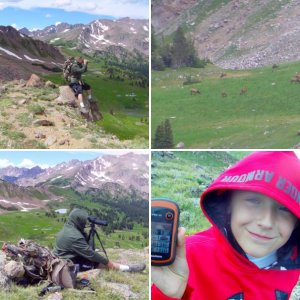 Elk Scouting