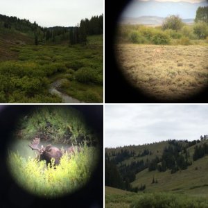 Wyoming
