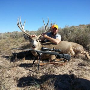2nd rifle colorado