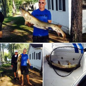 52" 44lb muskie. Summer 2014