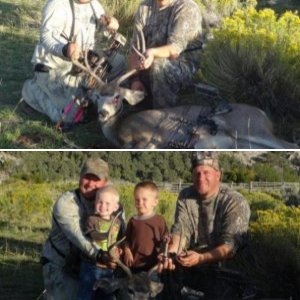 Archery Buck