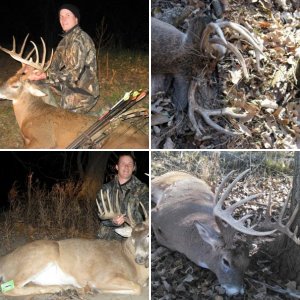 bbd