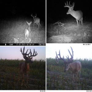 few trail cams