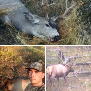 2015 Idaho