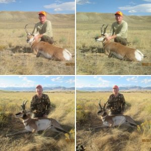 2015 WY Antelope