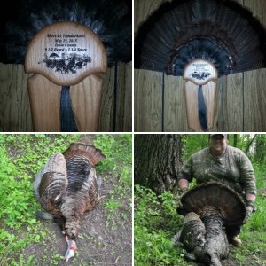 2015 spring turkey