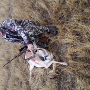 Wyoming deer hunts