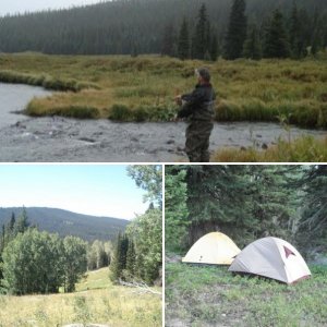 colorado 2010
