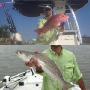 Summer Fishing