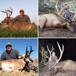 Hunting Pics